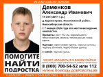 Ориентировка поиского отряда "ЛизаАлерт"