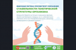 23 февраля - 1 марта - неделя поддержания и укрепления иммунитета