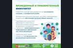 23 февраля - 1 марта - неделя поддержания и укрепления иммунитета