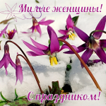 Фото пресс-службы администрации Искитимского района