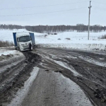 Дорога под контролем при вывозе зерна перед посевной в Искитимском районе