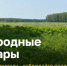 Будем внимательнее: природа скажет нам спасибо! - Администрация Искитимского района