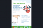 С 18 по 24 мая в Новосибирской области проходит неделя профилактики заболеваний эндокринной системы