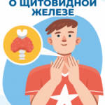 С 18 по 24 мая в Новосибирской области проходит неделя профилактики заболеваний эндокринной системы