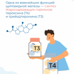 С 18 по 24 мая в Новосибирской области проходит неделя профилактики заболеваний эндокринной системы