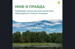Вокруг лесных пожаров скопилось немало «мифов». Узнайте, где правда, где вымысел