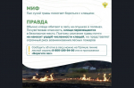 Вокруг лесных пожаров скопилось немало «мифов». Узнайте, где правда, где вымысел