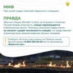 Вокруг лесных пожаров скопилось немало «мифов». Узнайте, где правда, где вымысел