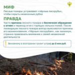 Вокруг лесных пожаров скопилось немало «мифов». Узнайте, где правда, где вымысел