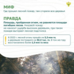 Вокруг лесных пожаров скопилось немало «мифов». Узнайте, где правда, где вымысел