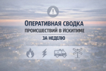 Оперативная сводка происшествий за неделю