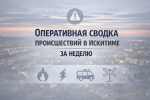 Происшествия в Искитиме за неделю